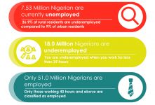 Employment Factsheet by Myjobmag